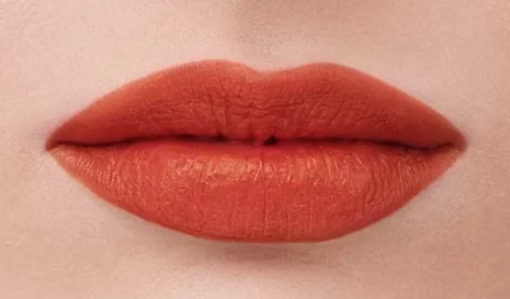 Armani Lip Power 405 matte lipstick on lips